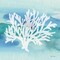 Sea Life Coral II Poster Print by Lisa Audit - Item # VARPDX16813